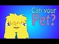 Can Your Pet POOR MR CHICKADOODLE