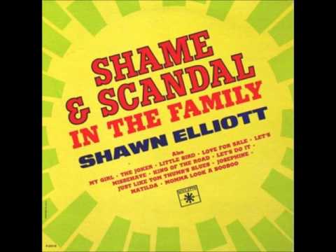 Shawn Elliot Shame And Scandal In The Family