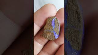 Download lagu It's a rock! (Opal) #shorts #opal mp3 Download lagu It's a rock! (Opal) #shorts #opal mp3