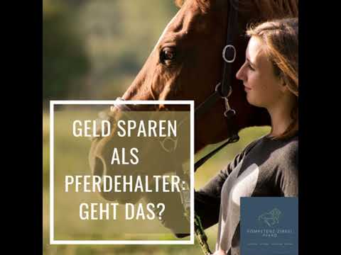 #3 Hilfe, ich habe kein Geld mehr für mein Pferd!