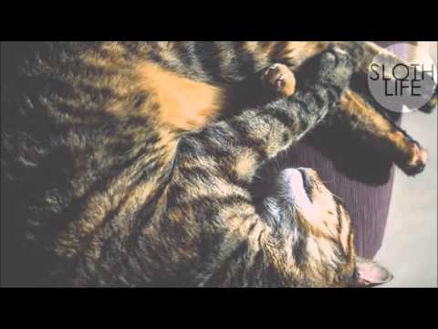 .sinh - oneforkurt ft. natty reeves