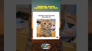 Download lagu GANTENG BET KATA EMAK GW MAH⁉️ cuma sambil nyuruh beli tomat🤧 #memes #funny #comedy mp3