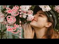 Mal Pita Mal මල් පිට මල් Amal Perera Remake Chaamindarathnasuriya Kasunkalhara Ama