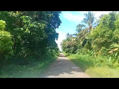 Buluminski Highway, New Ireland Province