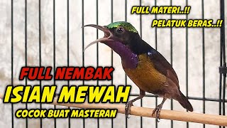 Download lagu KONIN GACOR FULL ISIAN TONJOLAN PELATUK BERAS !! 100% COCOK BUAT PANCINGAN KOLIBRI NINJA AGAR BUNYI mp3