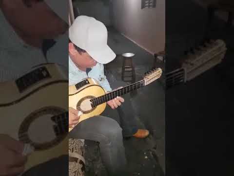 Cleiton   Torres  - Seleção de Pagodes