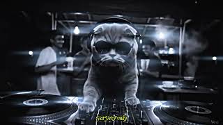 Download lagu DJ KAMIN SAD KANE YANG KALIAN CARI VIRAL TIKTOK MENGKANE TERBARU mp3