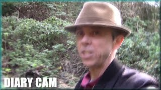 Diary Cam - Article 11 & Article 13 - EU Silliness - Not workable