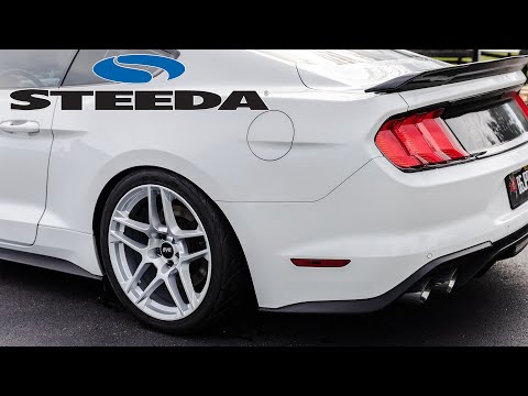 Jeff's S550 Mustang Gets A Full Steeda & AST Overhaul: Rear Suspension