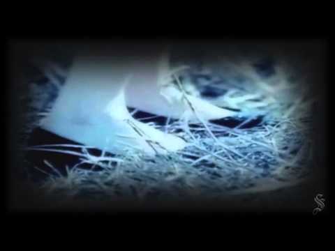 Super Junior - "DAYDREAM" MV [HD] (+VCR 'Storm'/Donghae audio!)