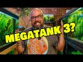 Fish Room Dilemma Do I Need Another Megatank