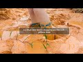 12 Blue Rain Boots Stepping On The Soft Yellow Mud