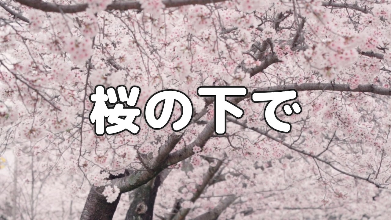 【合唱曲】桜の下で / 歌詞付き【185/200】