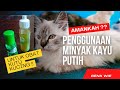Amankah Penggunaan Minyak Kayu Putih Untuk Kucing