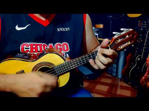 PAZ ENLOUQUECIDA - GRUPO SEM COMPROMISSO (CAVAQUINHO COVER)