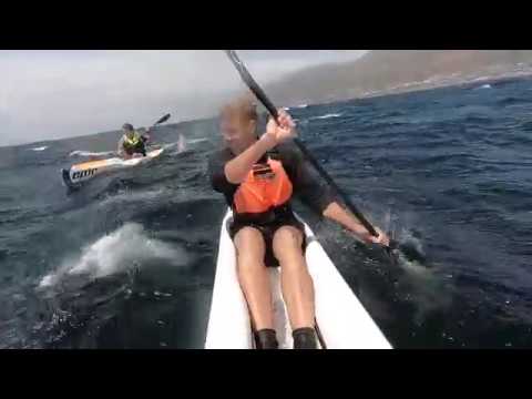 Millers Run downwind Surfski Paddle -  Cape Town South Africa