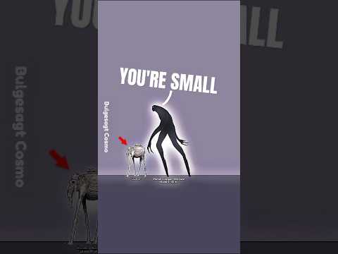 ANIME SIZE COMPARISON | Part 1