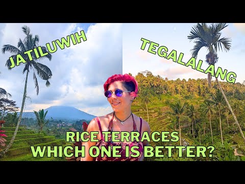 Tegalalang VS. Jatiluwih Rice Terrace in Bali