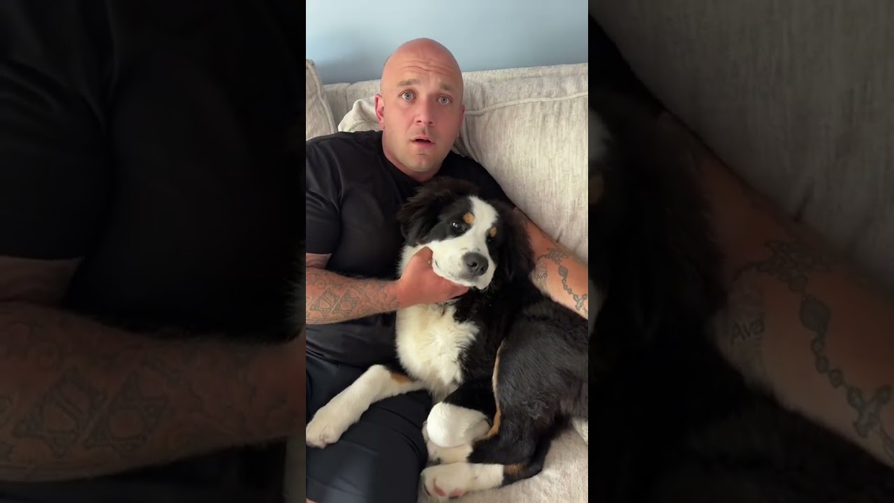 my husband loves our dog more than me