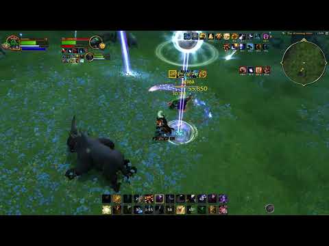 《WoW: Dragonflight》Guardian Druid and Balance Druid engage in an epic battle on the great plains