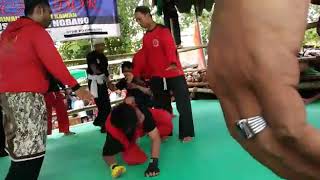 Download lagu Pagar nusa vs psht pencak dor ngraho bojonegoro 2 des 2018 mp3