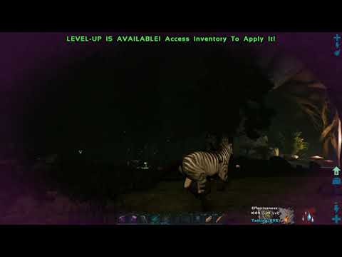 Ark: Equus Taming