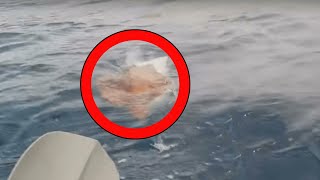 Man Sees Something Strange In Water, Realizes The Truth Too Late