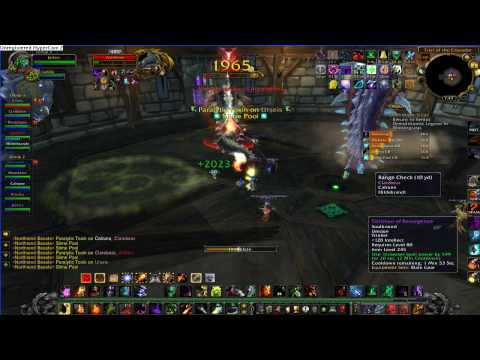 HD - Acidmaw and Dreadscale - Morally Bankrupt - How To