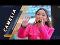 CAMELIA TASYA ROSMALA NEW PRIMAEGA LIVE DUSUN PONCOL KEDUNGBOKOR KEC LARANGAN BREBES