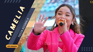 Download lagu CAMELIA  - TASYA ROSMALA 'NEW PRIMAEGA' || LIVE.DUSUN PONCOL-KEDUNGBOKOR,KEC.LARANGAN-BREBES mp3