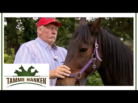 Severe pain for years: Horse needs gentle treatment! | Tamme Hanken | Kabel Eins