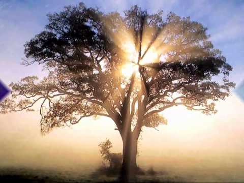 Antes Del Alba - Tamara Castro