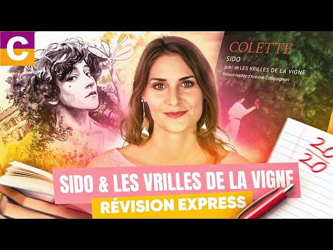 Sido et Les Vrilles de la vigne, Colette : résumé et analyse - Bac de français 2024 !