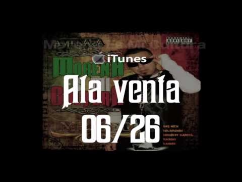 download lagu mp3 mp4 Morena Es Mi Cultura, download mp3 Morena Es Mi Cultura free download mp3, download mp3 Morena Es Mi Cultura