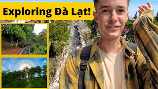 The CUTEST City in Vietnam!? (Top THINGS to SEE and Do)