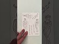 Simple & Elegant Birthday Cards | Hero Arts You’re a classic collection