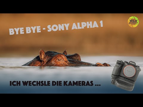 Es ist soweit  - Tschüss SONY A1