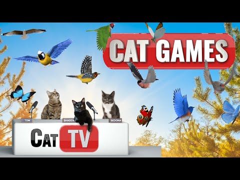 Cat TV | 3D Birds and Butterflies in Serene Nature Scenes 🌿🦋 | Calming Sounds and Music for Cats