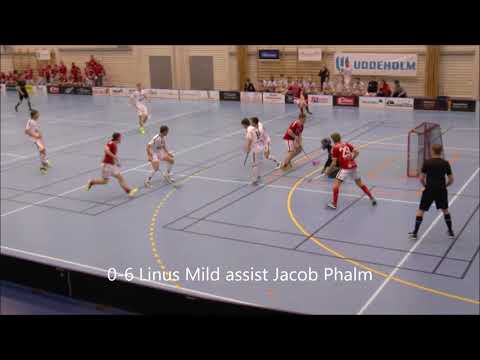 Hagfors  IBF Västerås 2018 02 24