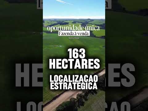 Fazenda à venda no Paraná #fazendaavenda #agroparana