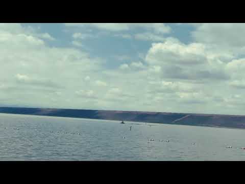 Swim 🏖 beach Littleton Colorado 2021