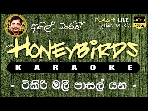 Tikirimali Pasal Yana Karaoke ( Without Voice ) ටිකිරි මලී පාසල් යන කැරෝකේ
