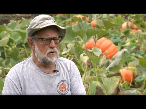 Wisconsin Giant Pumpkin Growers chairperson Jim Ford shares gourd secrets