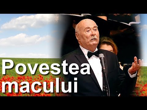 Tudor Gheorghe Povestea Macului