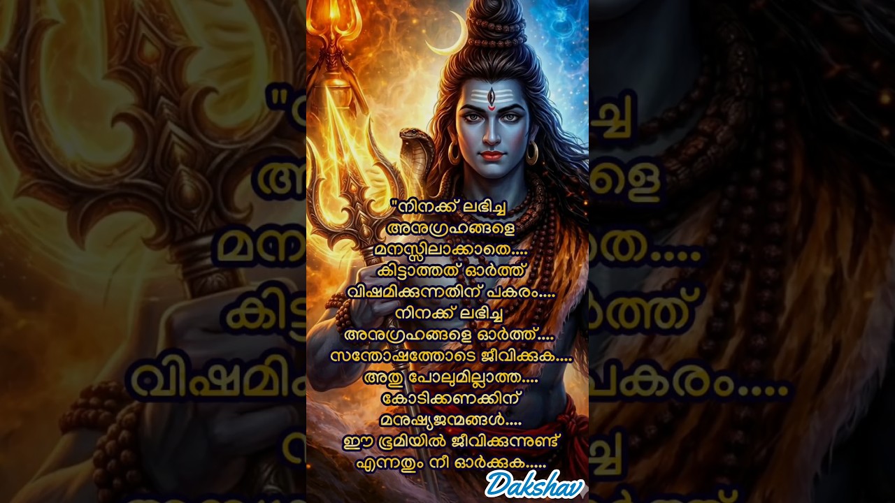 Om Namah Shivaya🙏🏻| #reels #song #shortsfeed #motivation #mahadev #viral #music 🙏🏻