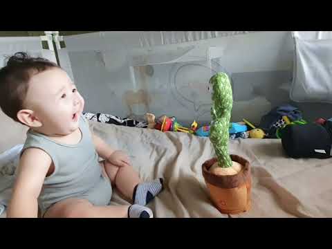 Hemico dancing cactus talking plush toy with singing & recor...