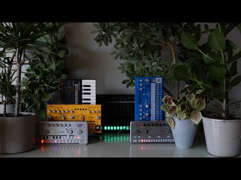 Snot Monkey - Acid 076 (TT-303, TT-78, TD-3, RD-6, TR-8S, JU-06A)