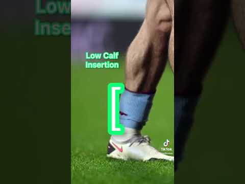 BAUEN SIE GROSSE WADEN AUF (KEIN SCHWACHSINN!!!) 😁😏