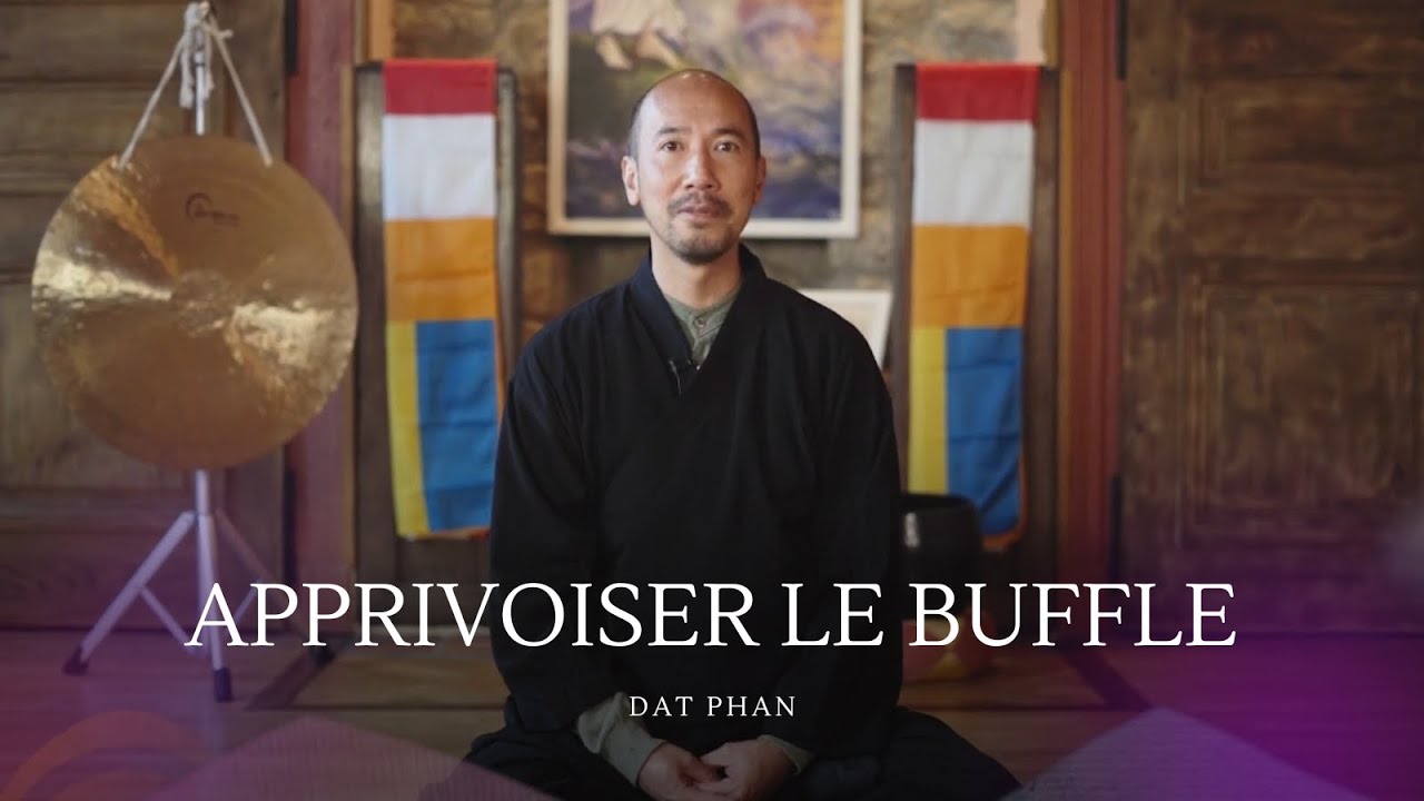 Vidéo de présentation