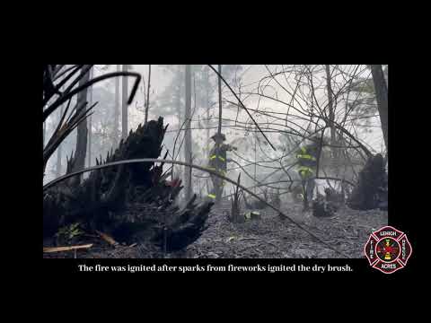 Brush Fire on Ruth Ave, January 31, 2021